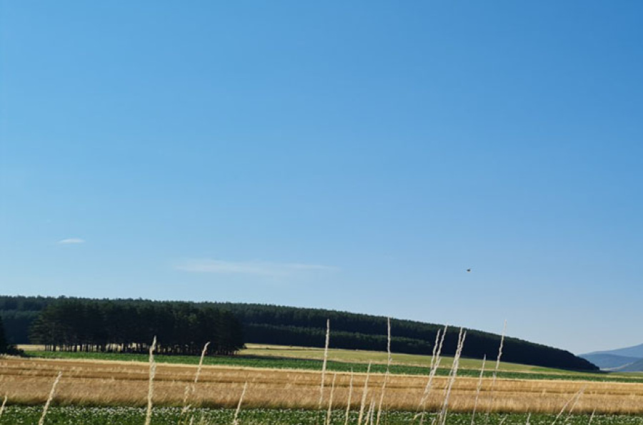 U ponedjeljak toplo i vjetrovito, sa padavinama